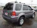 2007 Tungsten Grey Metallic Ford Escape Limited  photo #5