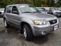 2007 Tungsten Grey Metallic Ford Escape Limited  photo #7