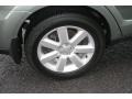2009 Seacrest Green Metallic Subaru Outback 2.5i Special Edition Wagon  photo #19
