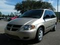 Linen Gold Metallic - Caravan SXT Photo No. 1