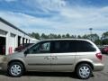 Linen Gold Metallic - Caravan SXT Photo No. 2