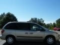 Linen Gold Metallic - Caravan SXT Photo No. 6