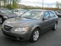 Willow Gray - Sonata GLS Photo No. 1