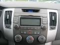 Willow Gray - Sonata GLS Photo No. 5
