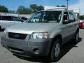 2005 Gold Ash Metallic Ford Escape XLS  photo #1