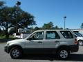 2005 Gold Ash Metallic Ford Escape XLS  photo #2