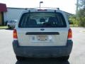 2005 Gold Ash Metallic Ford Escape XLS  photo #4