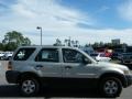 2005 Gold Ash Metallic Ford Escape XLS  photo #6