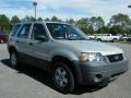 2005 Gold Ash Metallic Ford Escape XLS  photo #7