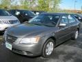 Willow Gray - Sonata GLS Photo No. 1