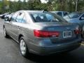 Willow Gray - Sonata GLS Photo No. 14
