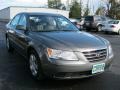 Willow Gray - Sonata GLS Photo No. 16