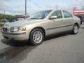 Ash Gold Metallic - S60 2.4 Photo No. 2