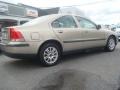 Ash Gold Metallic - S60 2.4 Photo No. 5