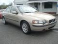 Ash Gold Metallic - S60 2.4 Photo No. 7