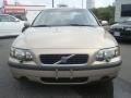 Ash Gold Metallic - S60 2.4 Photo No. 8