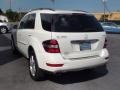 Arctic White - ML 350 4Matic Photo No. 9