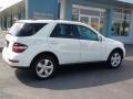 Arctic White - ML 350 4Matic Photo No. 12