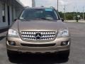 Sand Beige Metallic - ML 350 4Matic Photo No. 4