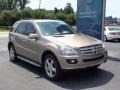 Sand Beige Metallic - ML 350 4Matic Photo No. 14