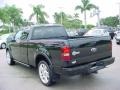 Black - F150 Harley-Davidson SuperCab Photo No. 9