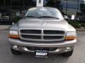 2001 Bright Platinum Metallic Dodge Durango SLT 4x4  photo #5