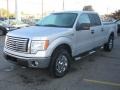 2010 Ingot Silver Metallic Ford F150 XLT SuperCrew 4x4  photo #9