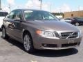 Oyster Gray Metallic - S80 3.2 Photo No. 3