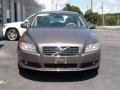 Oyster Gray Metallic - S80 3.2 Photo No. 4