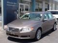 Oyster Gray Metallic - S80 3.2 Photo No. 5