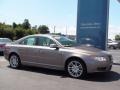 Oyster Gray Metallic - S80 3.2 Photo No. 14
