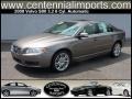 Oyster Gray Metallic - S80 3.2 Photo No. 49