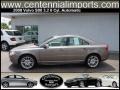 Oyster Gray Metallic - S80 3.2 Photo No. 50