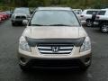 Sahara Sand Metallic - CR-V SE 4WD Photo No. 2