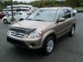 Sahara Sand Metallic - CR-V SE 4WD Photo No. 3