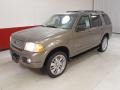 2002 Mineral Grey Metallic Ford Explorer Limited  photo #8