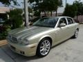 Winter Gold Metallic - XJ XJ8 L Photo No. 4
