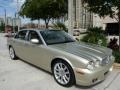 Winter Gold Metallic - XJ XJ8 L Photo No. 10