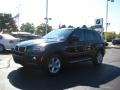 Jet Black - X5 3.0si Photo No. 1