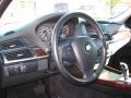 Jet Black - X5 3.0si Photo No. 12
