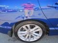 Fiji Blue Metallic - Civic Si Sedan Photo No. 11