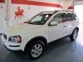 Ice White - XC90 3.2 Photo No. 1