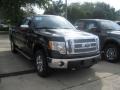 2010 Tuxedo Black Ford F150 FX4 SuperCrew 4x4  photo #3