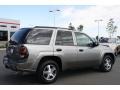 Graystone Metallic - TrailBlazer LS 4x4 Photo No. 2