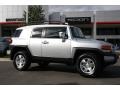 Titanium Metallic - FJ Cruiser 4WD Photo No. 1