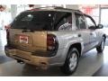 2003 Light Pewter Metallic Chevrolet TrailBlazer LS  photo #6