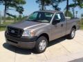 2006 Arizona Beige Metallic Ford F150 XL Regular Cab  photo #13