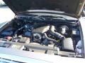 2003 Arizona Beige Metallic Ford Crown Victoria LX  photo #9