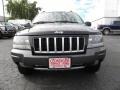2004 Brillant Black Crystal Pearl Jeep Grand Cherokee Laredo  photo #7