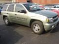 Silver Green Metallic 2004 Chevrolet TrailBlazer LS 4x4